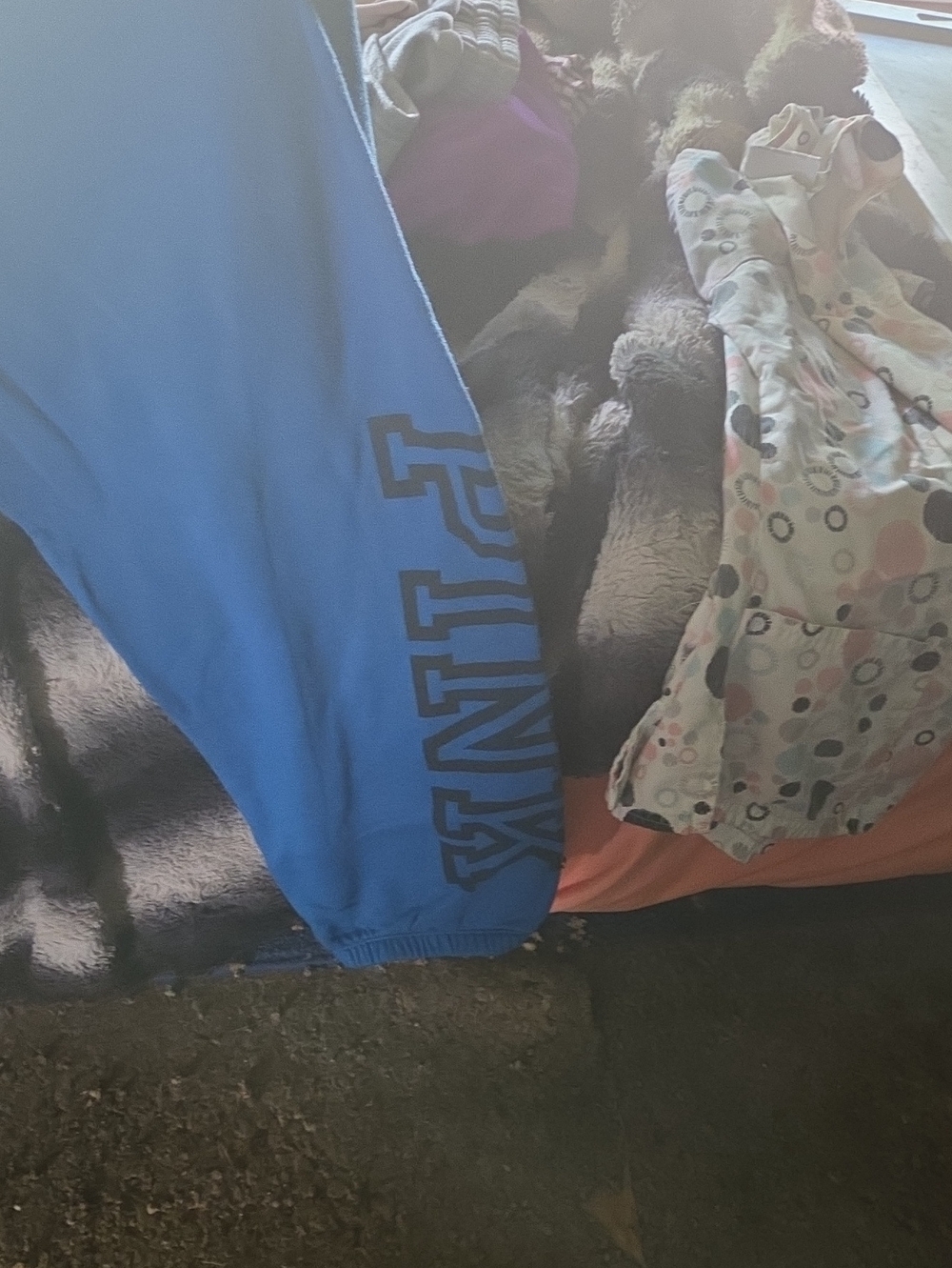 PINK Victoria's Secret Blue Kids Sweatpants with Side Logo